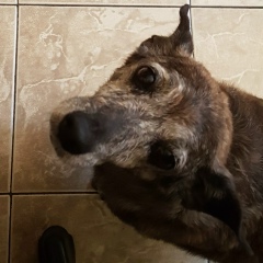 Fernando Sato, 26.01.1989, Marília