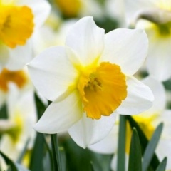 Эльвира Гильфанова, 24.07, Заинск