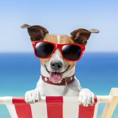 Сергей Круговцов, 22.06.1987, Харьков