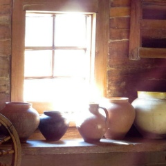 Елена Скрипачева