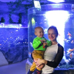 Елена Медовщук, 29.10, Киев