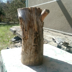 Игорь Трухан, 12.11, Киев