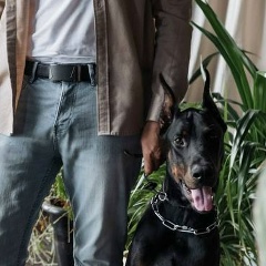 Артём Приходько, 08.01.1993, Новосибирск