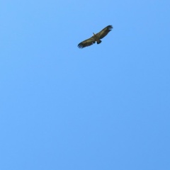 Дарья Воробьева, 11.09, Москва