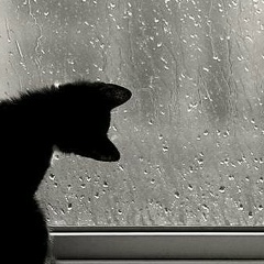 Татьяна Карака, 19.12.1984, Астана