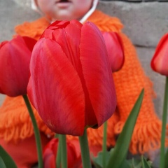 Мирамгуль Айчанова, 18.03.1991, Актобе