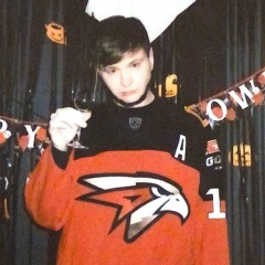 Денис Овечкин, Новосибирск