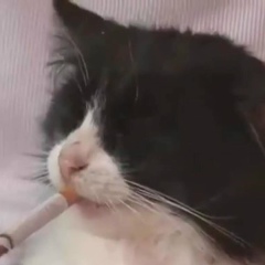 Богдан Федонюк, 03.09.1989