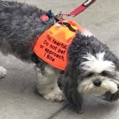 Наргиз Шакер, 09.04.1997, Алматы