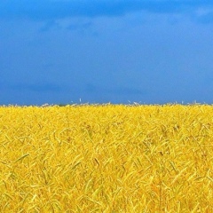 Оксана Щедрина, 19.07, Киев