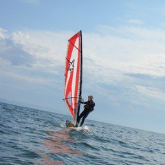 Кокер Спаниэль, Москва