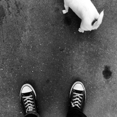 Ильгар Мамедов, 03.03, Москва