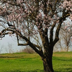 Fanzilya Faizyllina, 02.01.1961, Когалым