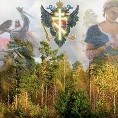 Валера Беляев, 05.09, Санкт-Петербург