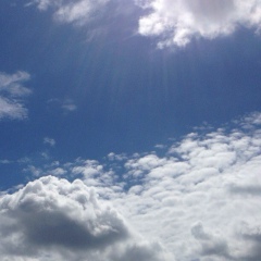 Александр Самойлов, 24.06, Москва