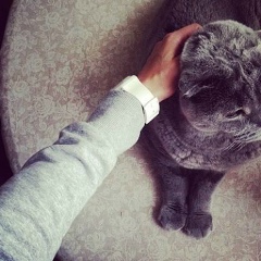 Марика Хаис, 23.06, Одесса