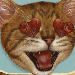 Алексей Кока, 20.12.1986, Алматы