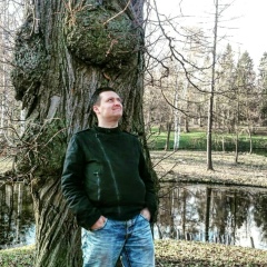 Александр Ситников, Санкт-Петербург
