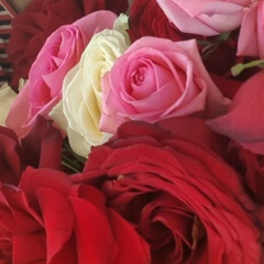 Галина Казаченкова, 21.01, Знаменск