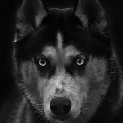 Sergey Smagula, 27.08.1982, Пермь