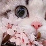 Уляша Кудрявцева, 17.04, Москва