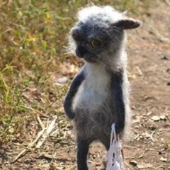 Павел Олегович, Санкт-Петербург