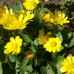 Лена Журавель, 19.03, Винница