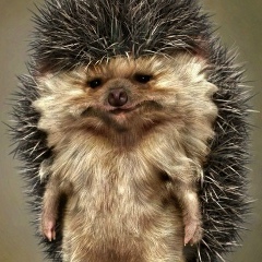 Максим Усманов, 03.04.1986, Санкт-Петербург