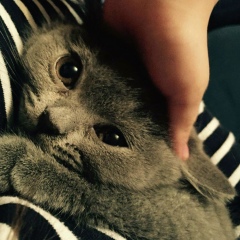 Евгения Этина, 19.06, Астана