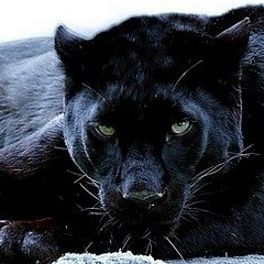 Азия , 13.06, Москва