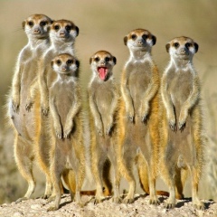 Алексей Левковский, 27.08, Москва