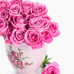 Олеся Крылова, 01.10.1983, Краснодар