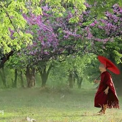 အ႐ွင္ပညာစာရ ကန္႔ဘလူ, 01.02.2004