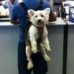 Денис Берестов, 21.03, Минск