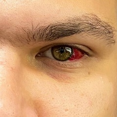 Владислав Попов, Елец