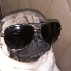 Олег Соснин, 04.01, Минск