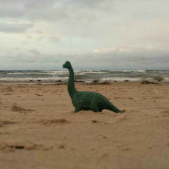 Alex Privetikas, 28.06