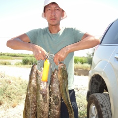 Арсен Тайсахунов, 17.01.1988, Алматы