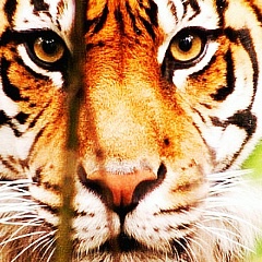 Александр Зайцев, 28.06.1965