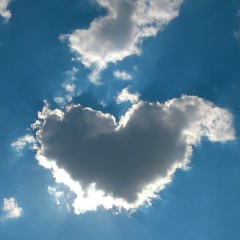 Павел Статов, 28.01.1986, Москва