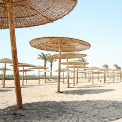 Катя Павлик