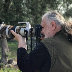 Atanur Sevim, 11.02.1962, Samsun