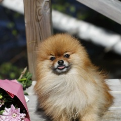 Юля , 10.05.1988, Санкт-Петербург