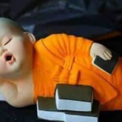 Monywa Ashin, 04.01.1983