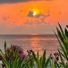 Анастасия Яковлева, Санкт-Петербург