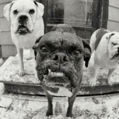 Антон Иванов, Красноярск