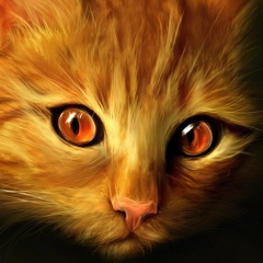 Давид Ситников, 18.01, Ростов-на-Дону