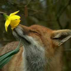 Мария Коростелева, 27.08, Псков