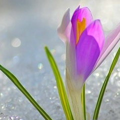 Лилия Гарипова (Магасумова), 17.03, Елабуга