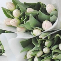 Елена Горячёва, 08.06, Москва